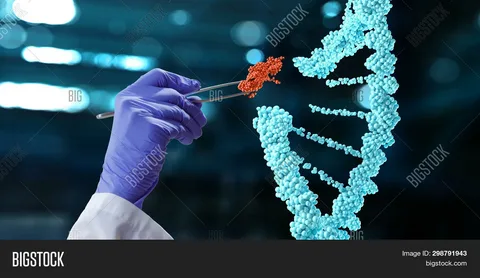 CRISPR and Immunology